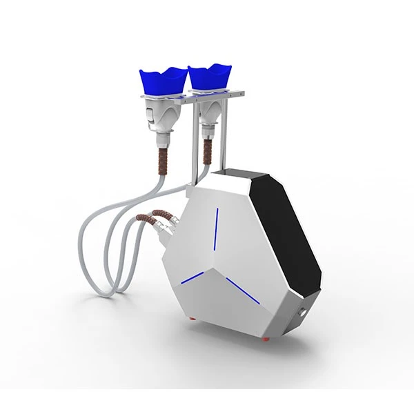 Cryolipolysis Body Slimming